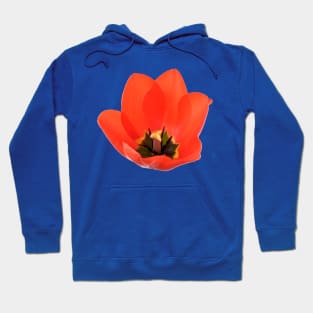 Red tulip Hoodie